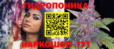 индика Жуковский