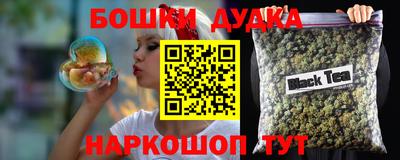 гидра Заводоуковск