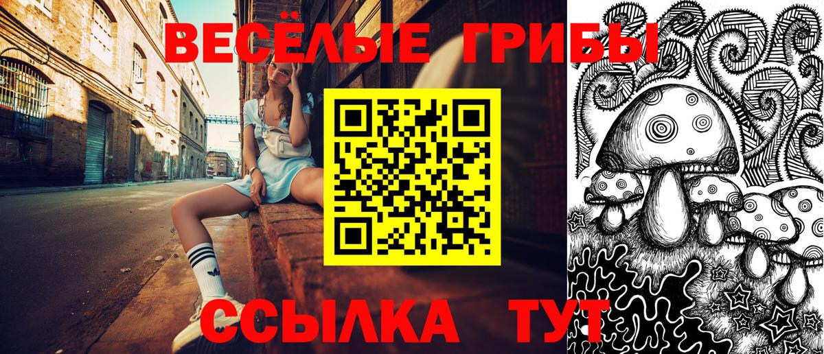 Галлюциногенные грибы GOLDEN TEACHER  Вход с VPN  Псилоцибиновые грибы Magic Shrooms  Людиново 